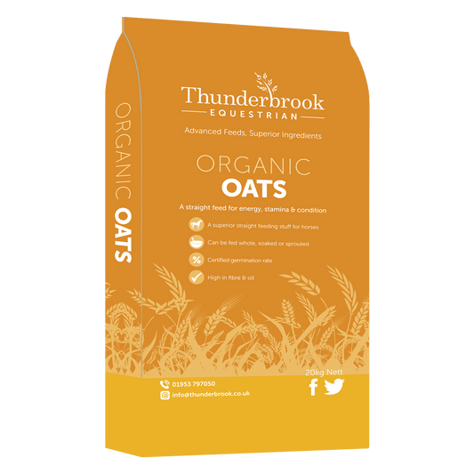 Thunderbrook Whole Organic Oats for Sprouting 20kg